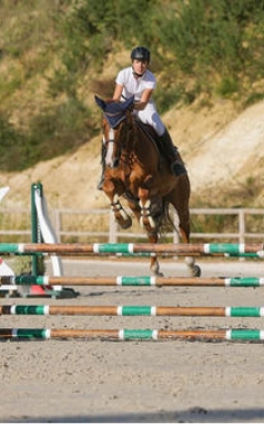 LES ECURIES DE L ESTEY FLEURI Pension Chevaux Bordeaux Centre Equestre 4