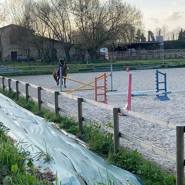 LES ECURIES DE L ESTEY FLEURI Pension Chevaux Bordeaux Lesty Feleuri Galerie Img 13