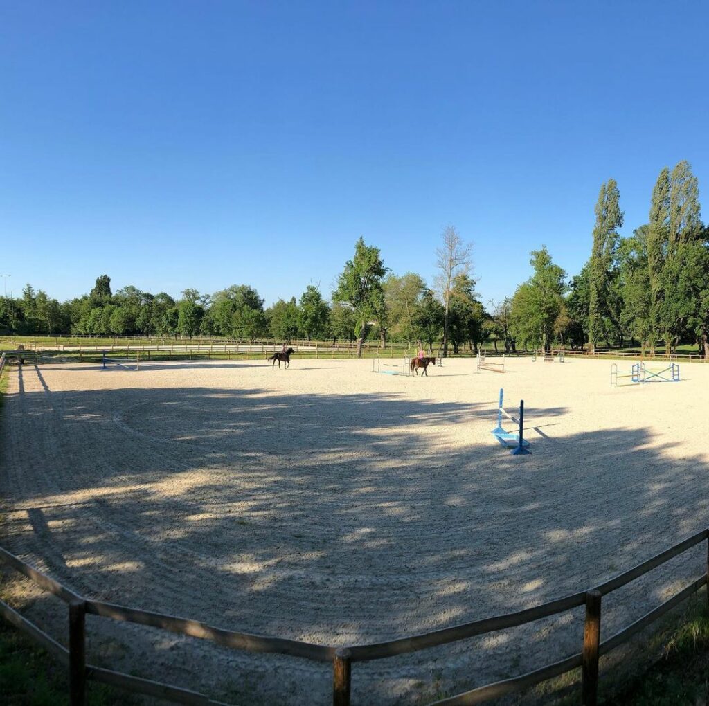 LES ECURIES DE L ESTEY FLEURI Pension Chevaux Bordeaux Lesty Feleuri Galerie Img 23