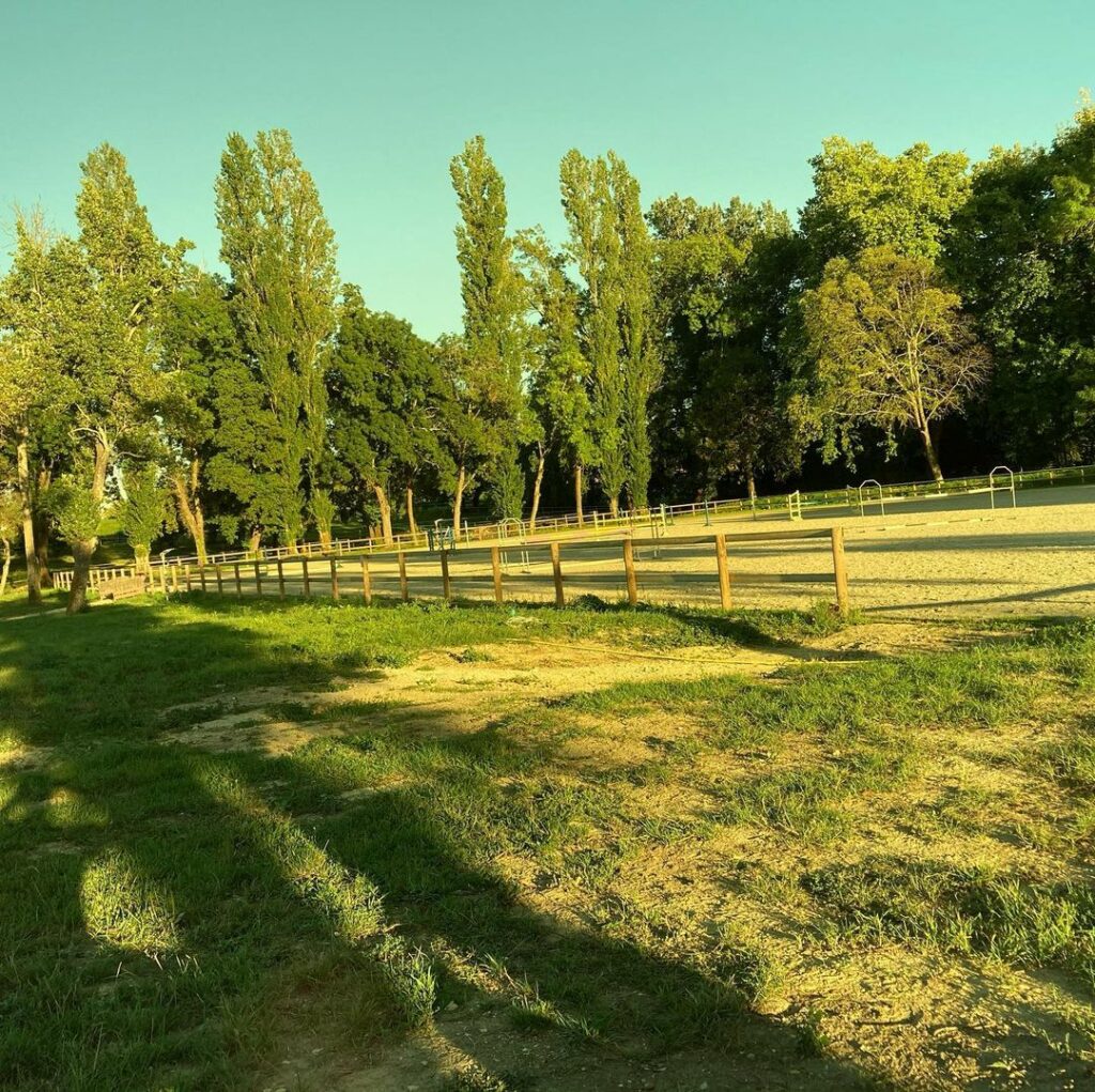 LES ECURIES DE L ESTEY FLEURI Pension Chevaux Bordeaux Lesty Feleuri Galerie Img 4