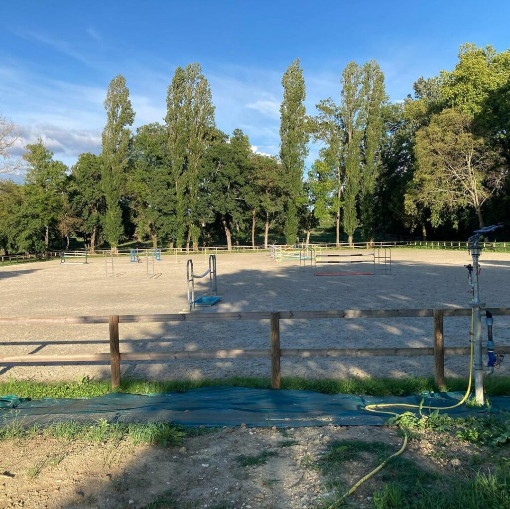 LES ECURIES DE L ESTEY FLEURI Pension Chevaux Bordeaux Lesty Feleuri Galerie Img 5