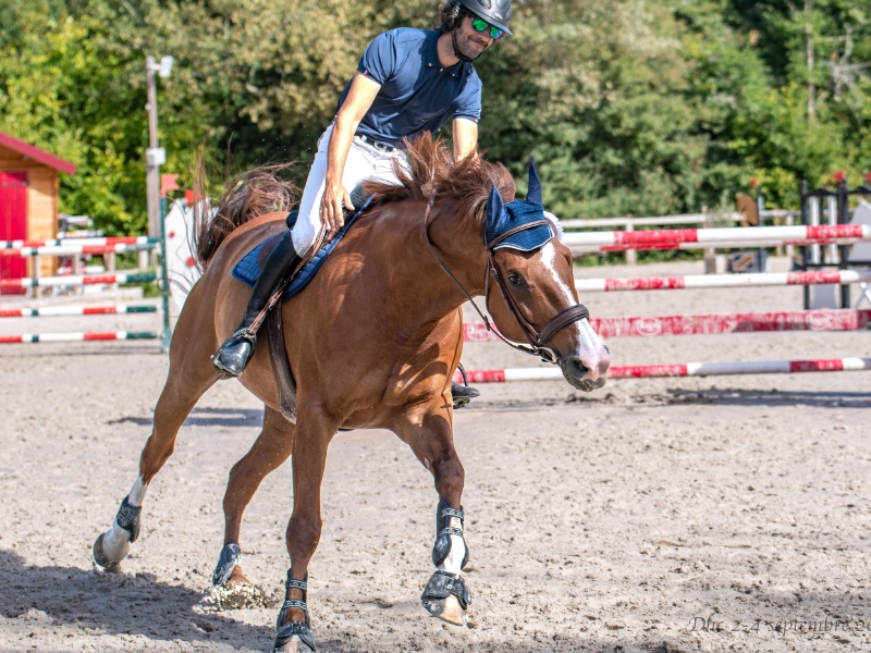 LES ECURIES DE L ESTEY FLEURI Pension Chevaux Bordeaux Realisations 2