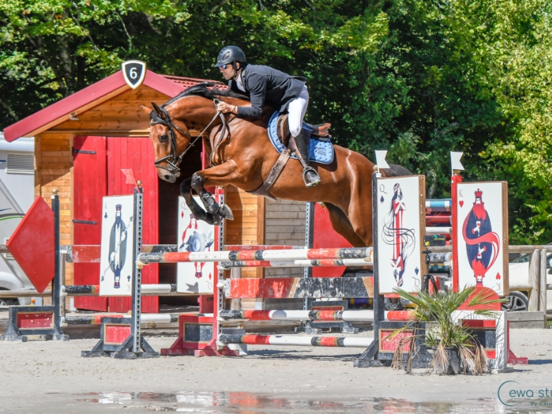 LES ECURIES DE L ESTEY FLEURI Pension Chevaux Bordeaux Realisations 3