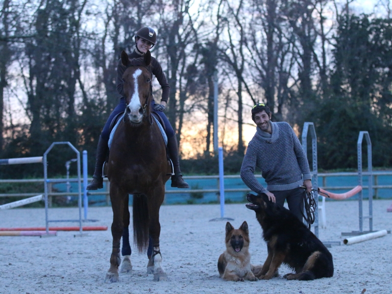 LES ECURIES DE L ESTEY FLEURI Pension Chevaux Bordeaux Realisations 4