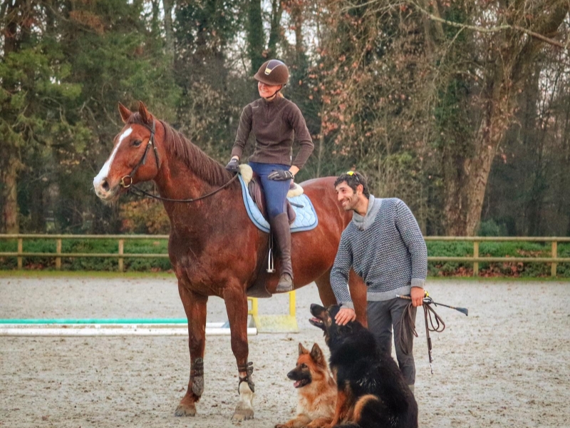 LES ECURIES DE L ESTEY FLEURI Pension Chevaux Bordeaux Realisations 8