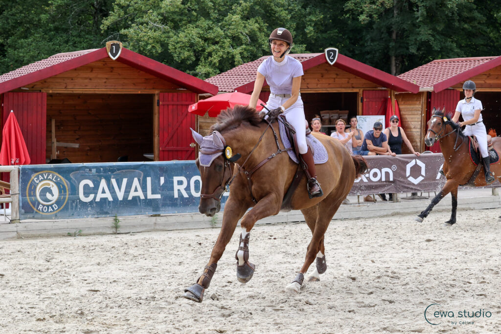 Les Ecuries De L Estey Fleuri Pension Chevaux Bordeaux AB6A3479