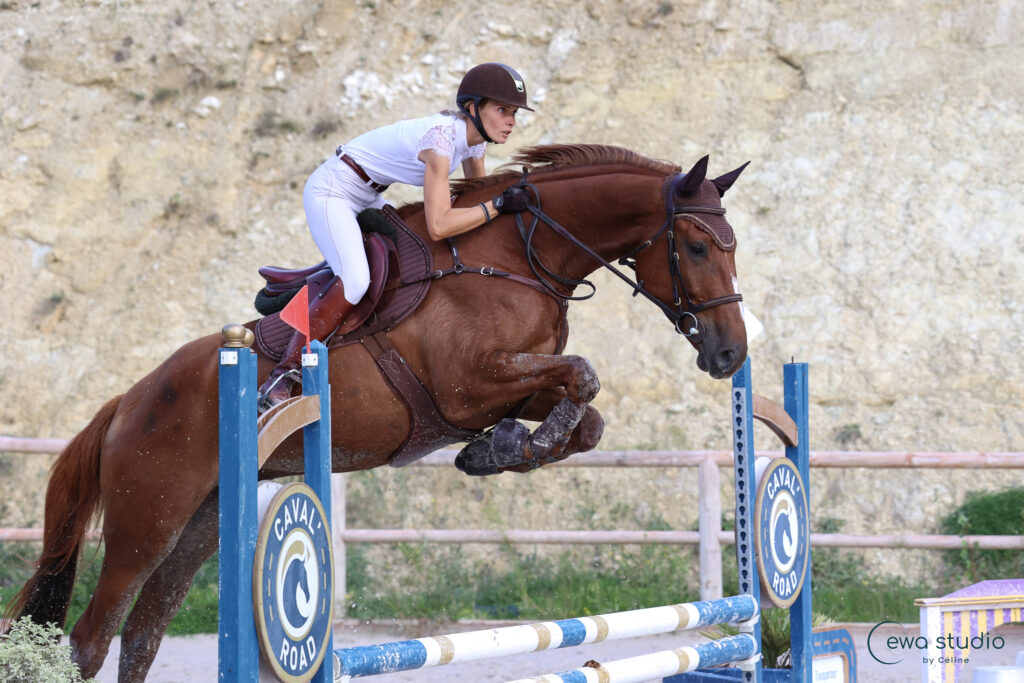 Les Ecuries De L Estey Fleuri Pension Chevaux Bordeaux AB6A4682