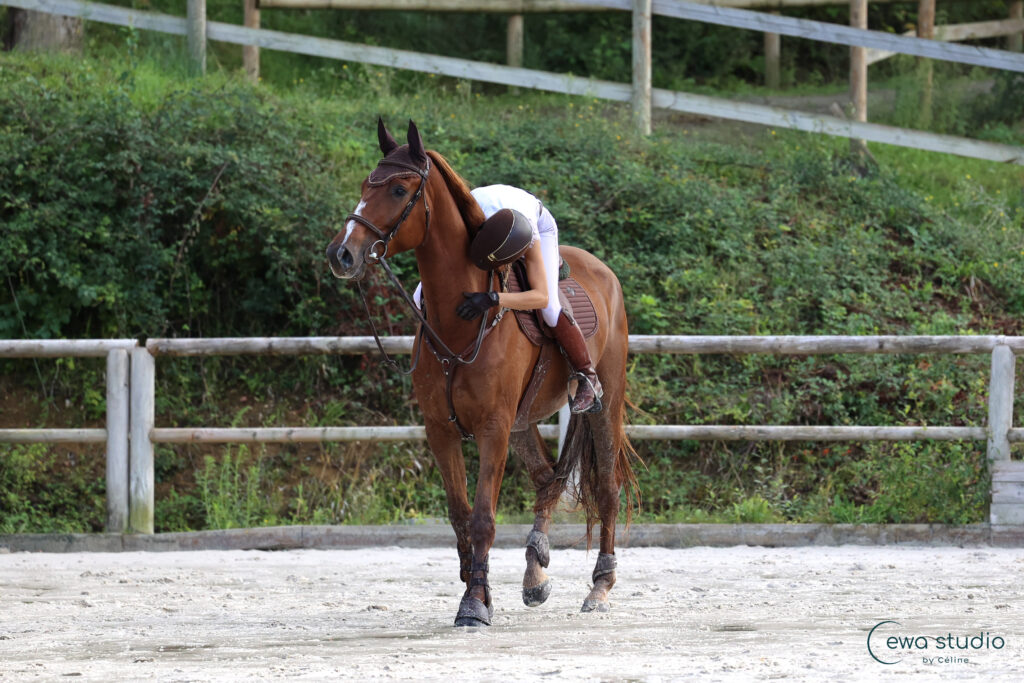 Les Ecuries De L Estey Fleuri Pension Chevaux Bordeaux AB6A4693