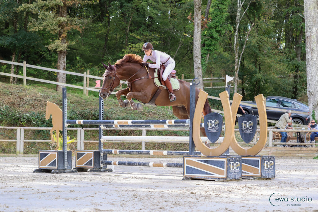 Les Ecuries De L Estey Fleuri Pension Chevaux Bordeaux AB6A9782