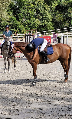 Les Ecuries De L Estey Fleuri Pension Chevaux Bordeaux LES ECURIES DE L ESTEY FLEURI Pension Chevaux Bordeaux Centre Equestre 3 1 1 Les Ecuries De L Estey Fleuri Pension Chevaux Bordeaux LES ECURIES DE L ESTEY FLEURI Pension Chevaux Bordeaux Centre Equestre 3 1 1