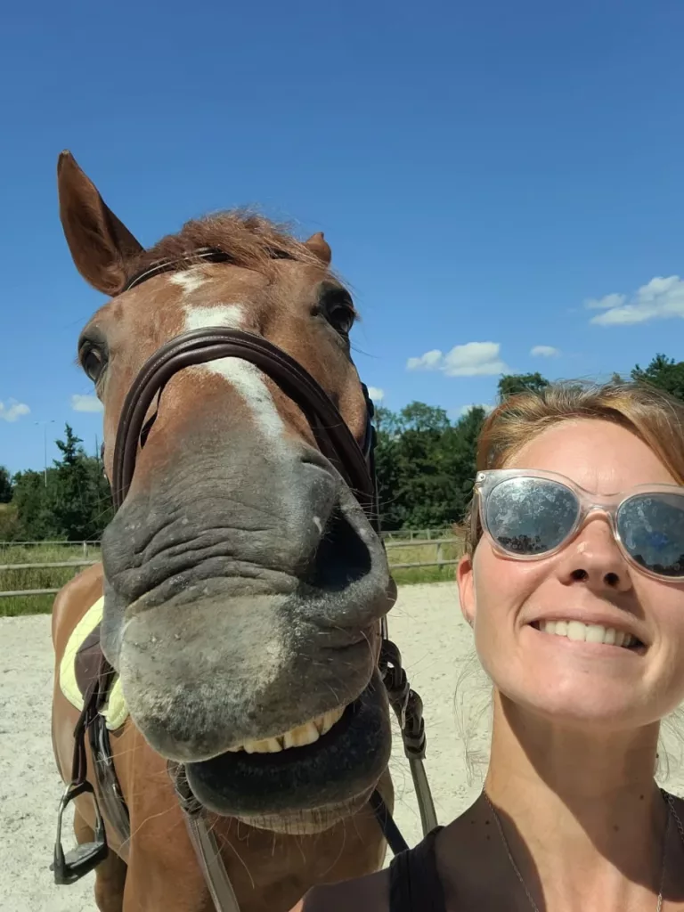 Les Ecuries De L Estey Fleuri Pension Chevaux Bordeaux Les Ecuries De Lestey Fleuri Photo 1