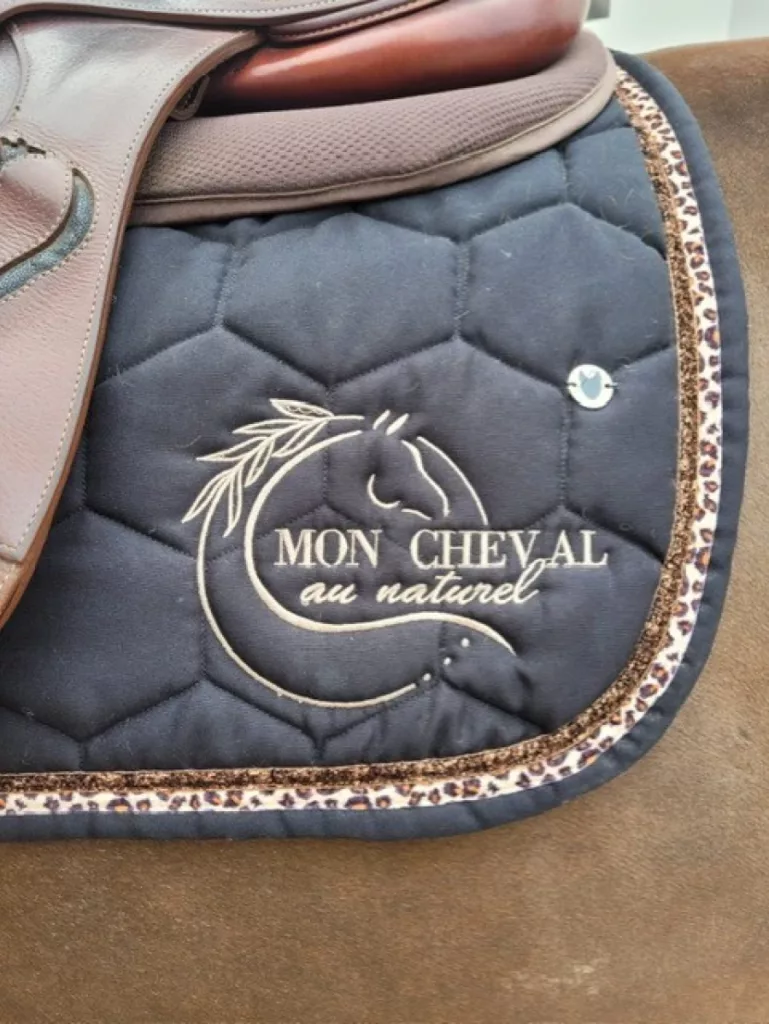 Les Ecuries De L Estey Fleuri Pension Chevaux Bordeaux Les Ecuries De Lestey Fleuri Photo 10