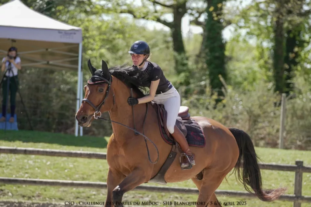 Les Ecuries De L Estey Fleuri Pension Chevaux Bordeaux Les Ecuries De Lestey Fleuri Photo 13