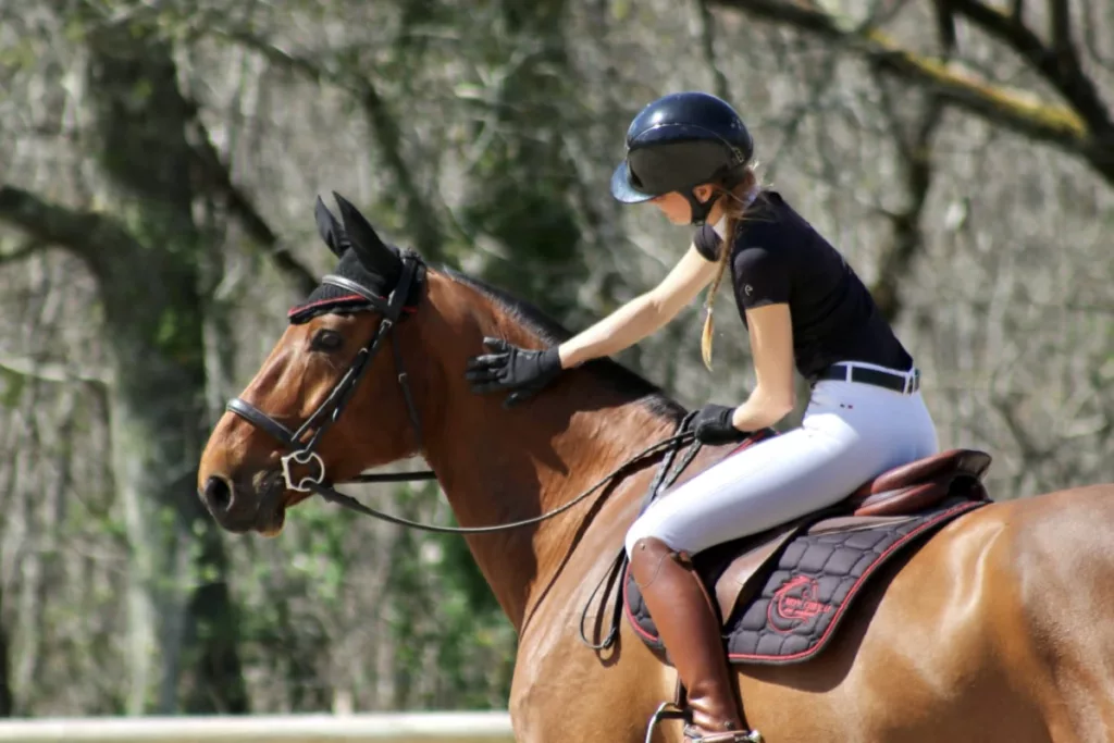 Les Ecuries De L Estey Fleuri Pension Chevaux Bordeaux Les Ecuries De Lestey Fleuri Photo 14