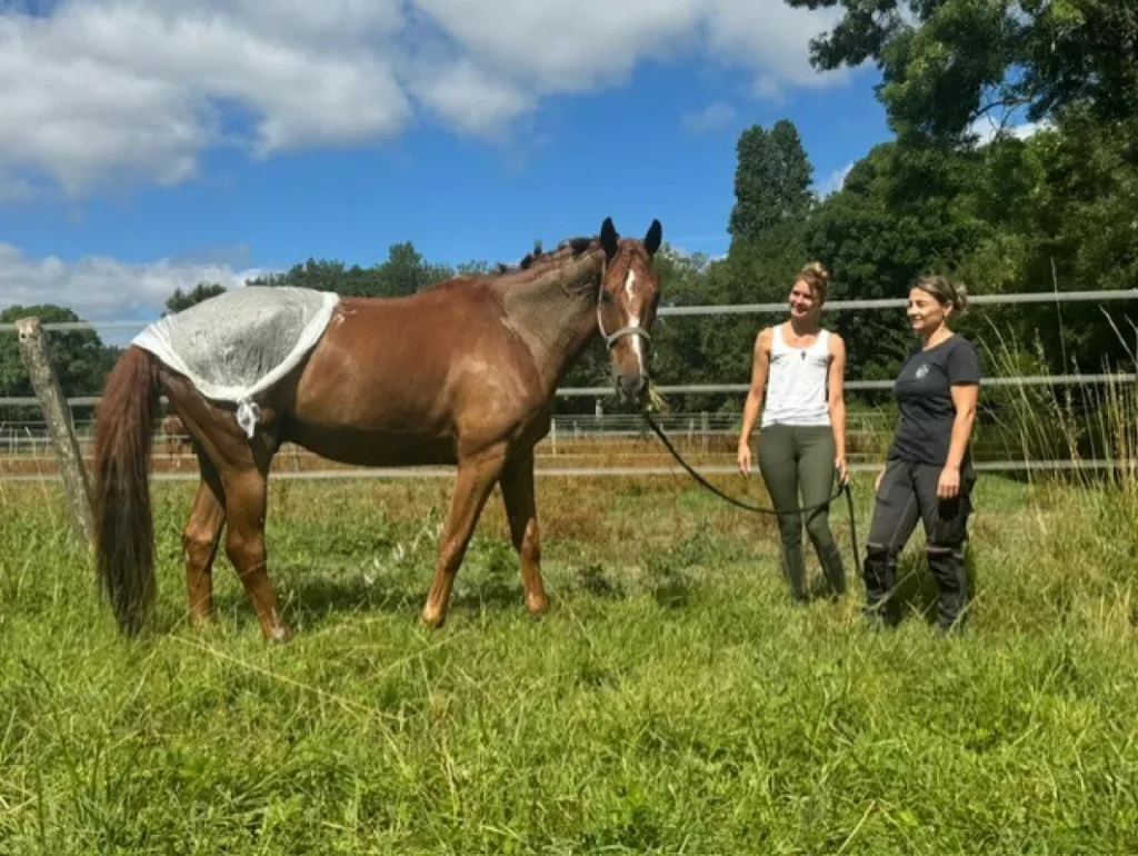 Les Ecuries De L Estey Fleuri Pension Chevaux Bordeaux Les Ecuries De Lestey Fleuri Photo 16