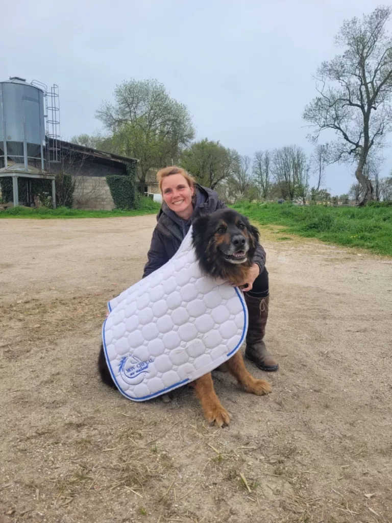 Les Ecuries De L Estey Fleuri Pension Chevaux Bordeaux Les Ecuries De Lestey Fleuri Photo 4