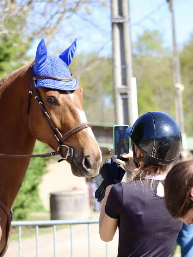 Les Ecuries De L Estey Fleuri Pension Chevaux Bordeaux Les Ecuries De Lestey Fleuri Photo 9